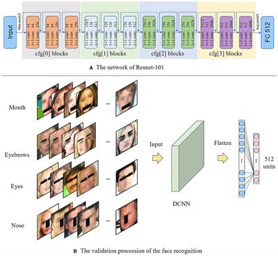 Understanding of facial features in face perception: insights from deep convolutional neural networks